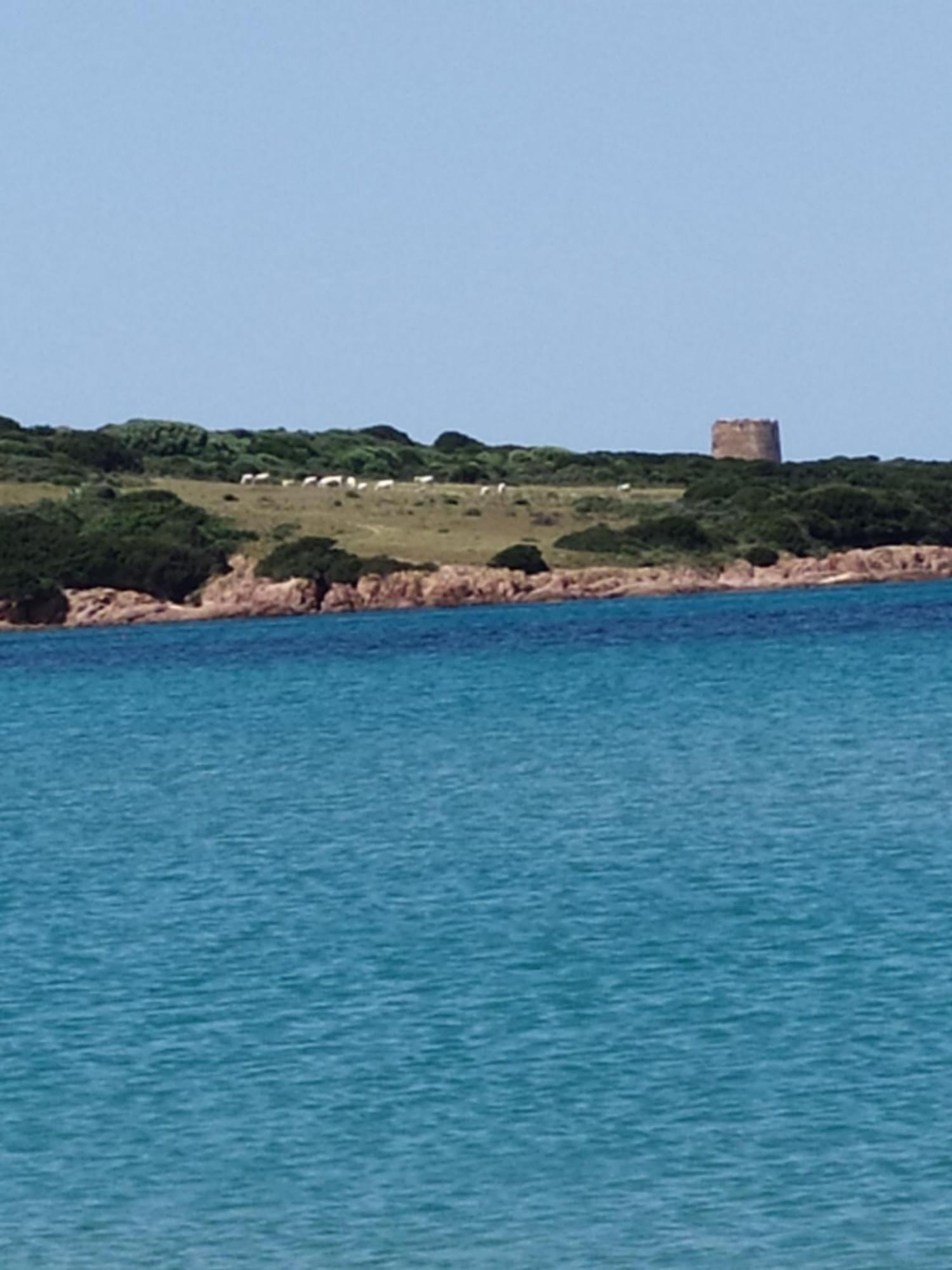 Residence Cala Rossa 罗萨岛 外观 照片