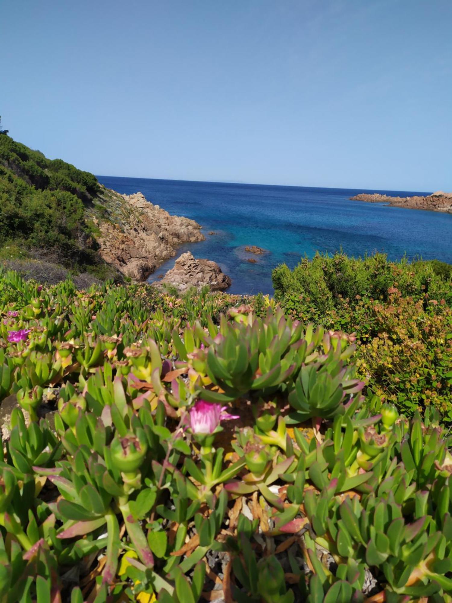 Residence Cala Rossa 罗萨岛 外观 照片