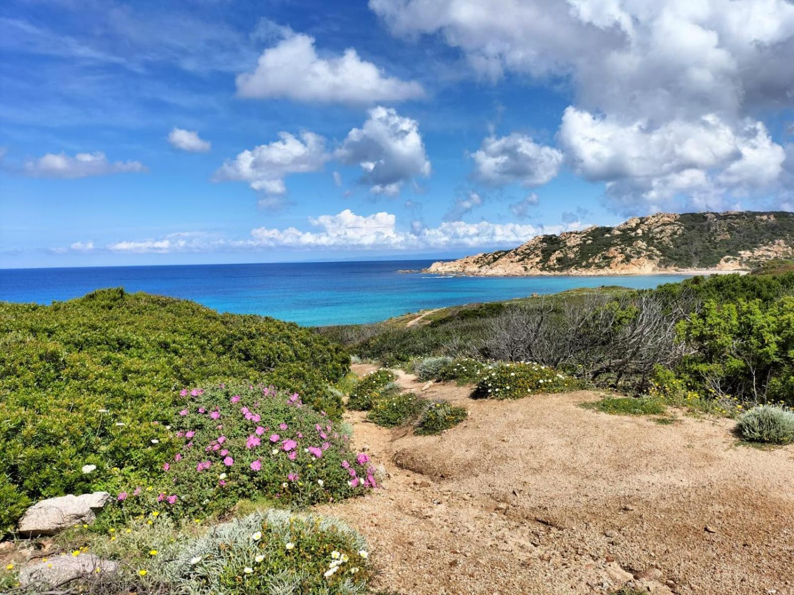 Residence Cala Rossa 罗萨岛 外观 照片
